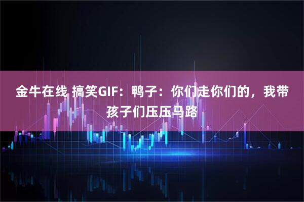 金牛在线 搞笑GIF：鸭子：你们走你们的，我带孩子们压压马路