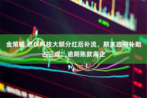 金策略 思仪科技大额分红后补流，期末政府补助占三成，逾期账款高企
