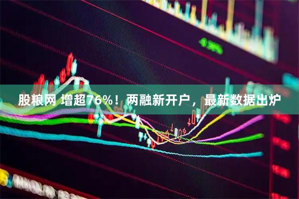 股粮网 增超76%！两融新开户，最新数据出炉