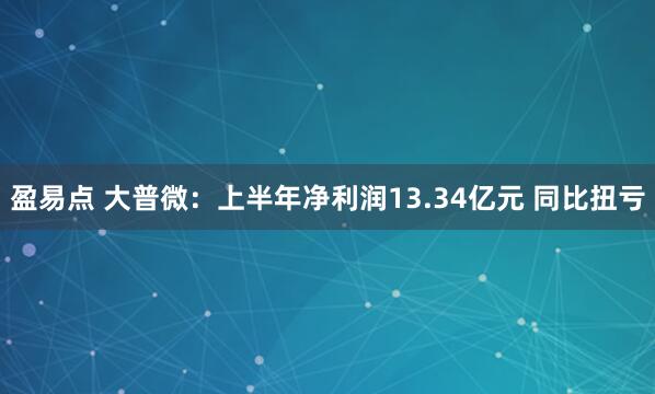 盈易点 大普微：上半年净利润13.34亿元 同比扭亏
